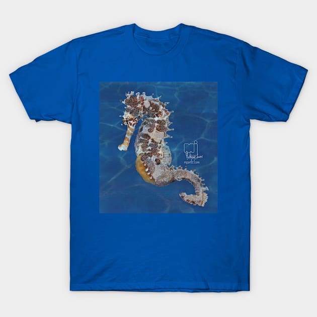 sea horse T-Shirt by mjartscom